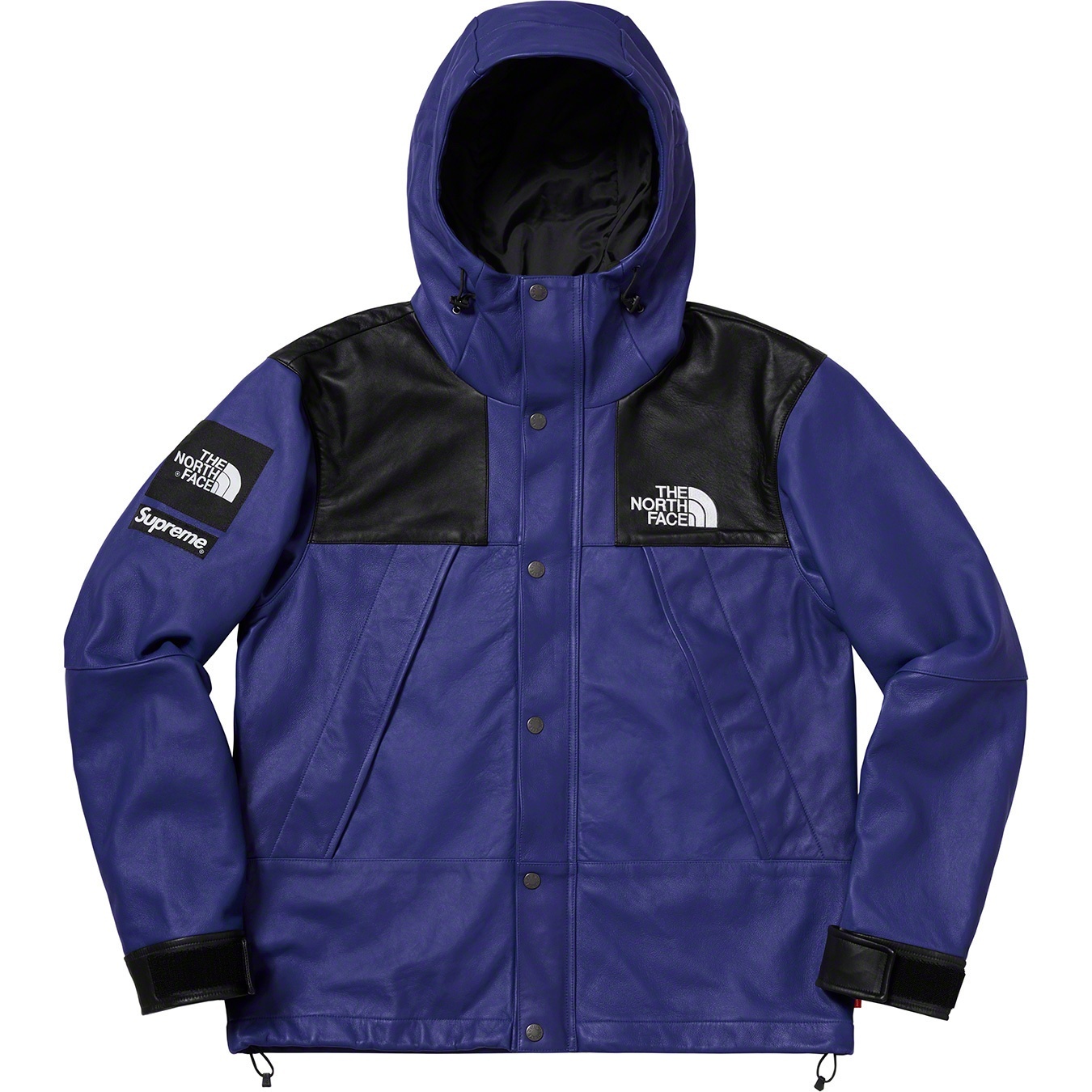 Supreme®/The North Face® Leather Mountain Parka view 12